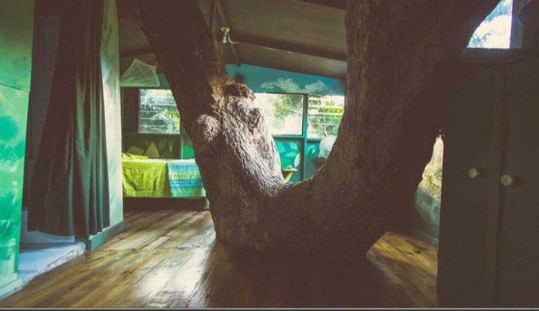 Prince Valley Guesthouse Irish Town Ngoại thất bức ảnh